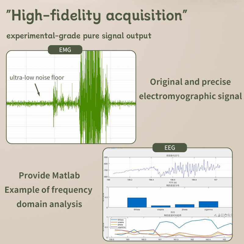 H1 EEG EMG 수집 모듈 마우스 동물 연구용 24 - Muscle Sensor Emg 리뷰 및 가격